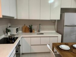 The Rochester Residences (D5), Apartment #454220031